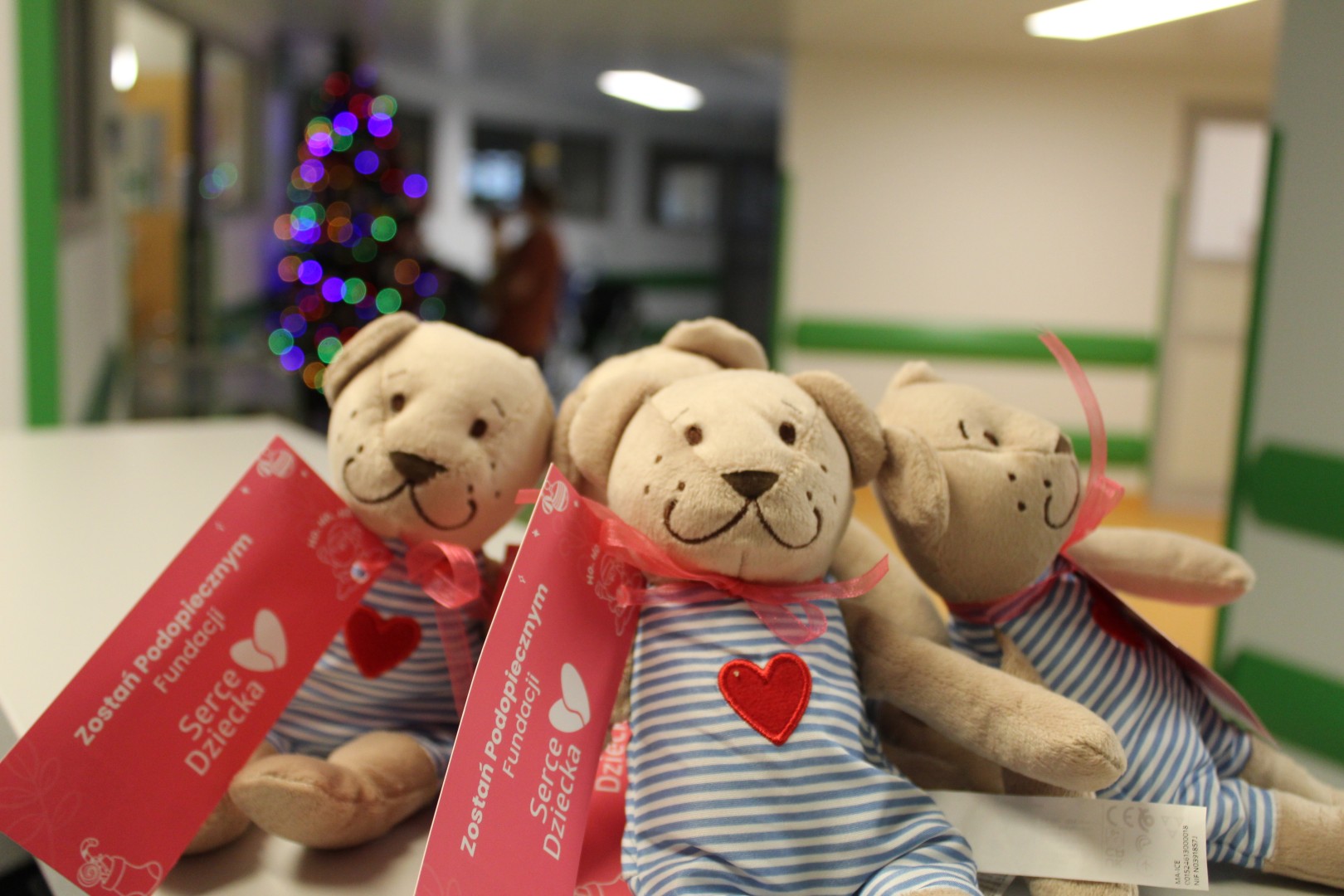 Świąteczna moc wsparcia