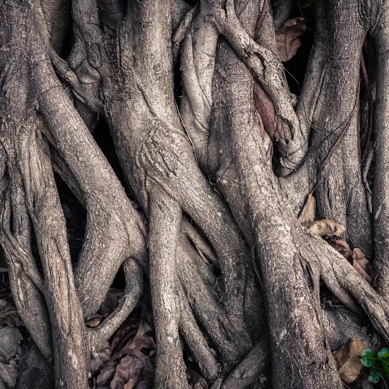 Rodzinne wartości i stabilność